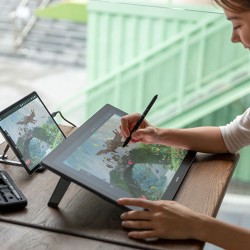 Huion KAMVAS PRO 19